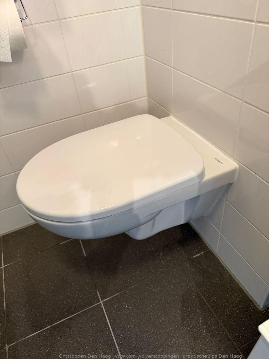 Voorkom wc verstoppingen: praktische tips Den Haag